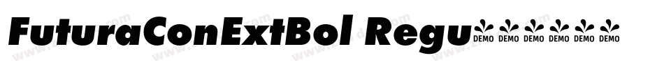 FuturaConExtBol Regu字体转换